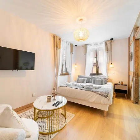 Appartement Au Petit Lion, Colmar Centre Garage Gratuit Extérieur photo